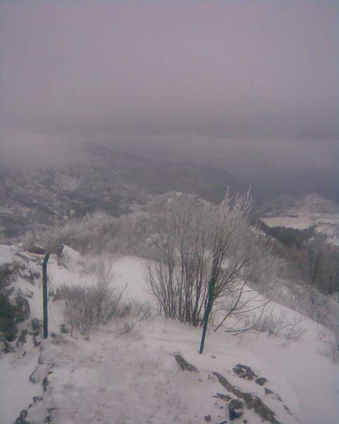 Slika008b.jpg