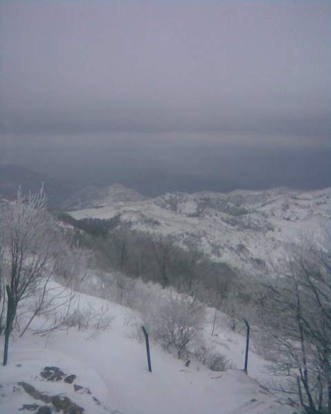 Slika009b.jpg